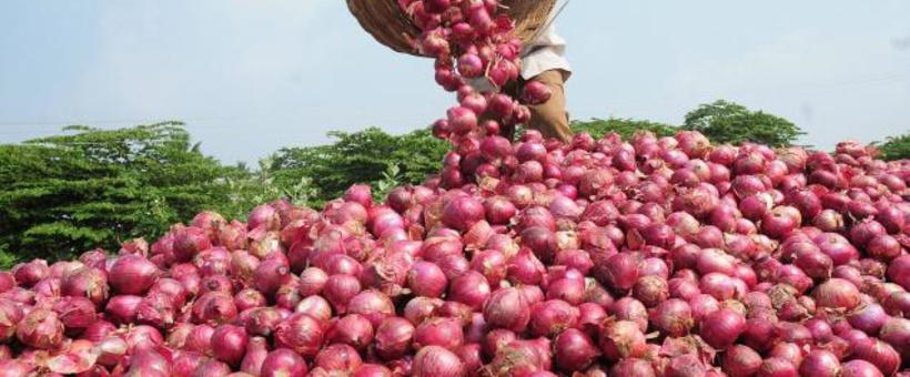 Rising Onion Prices in Kenya: Poor Harvests and Reduced Imports Create